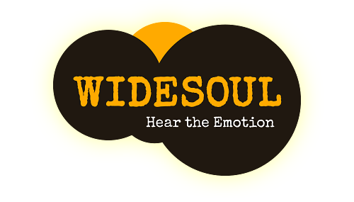 Widesoul.com Logo
